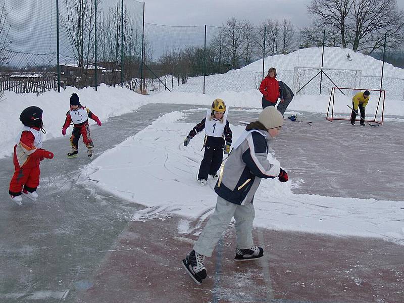 Vižinské zimní olympijské hry 2010