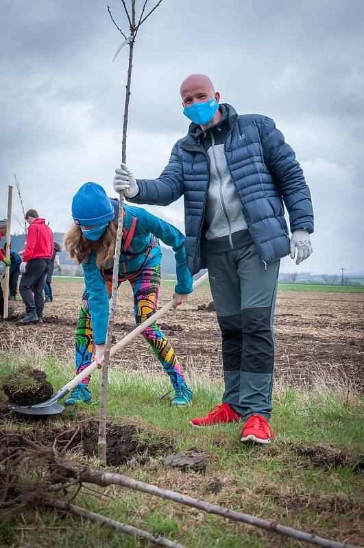 Sázení šedesáti nových ovocných stromků v Levandulovém údolí u Chodouně.