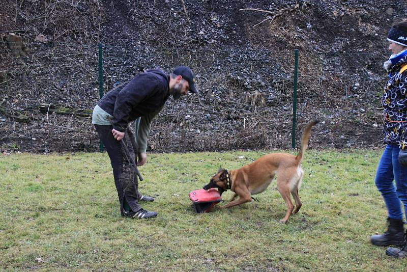 Psi mohou nově trénovat s páníčky v kempu Plešivec.