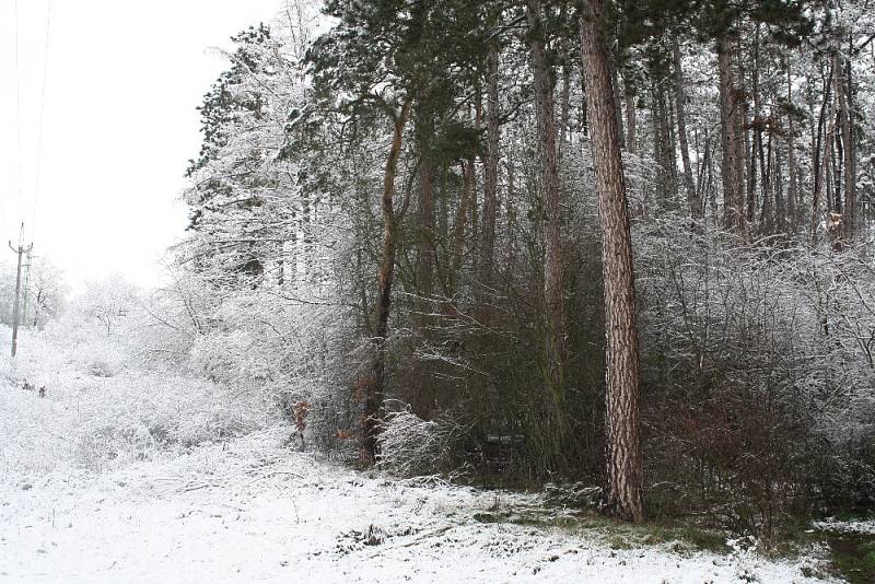 Zasněžená krajina při pohledu ze školní družiny.