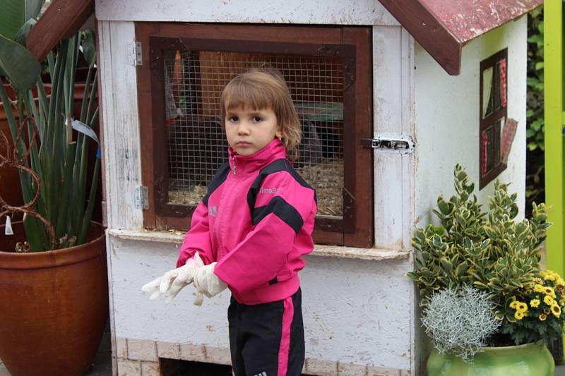 Podzimní aranžmá z vřesu, macešek a mnoha dalších rostlin si mohly děti vyrobit o víkendu v zahradním centru v Králově Dvoře. Akce nazvaná Podzimní tvoření přilákala desítky lidí.