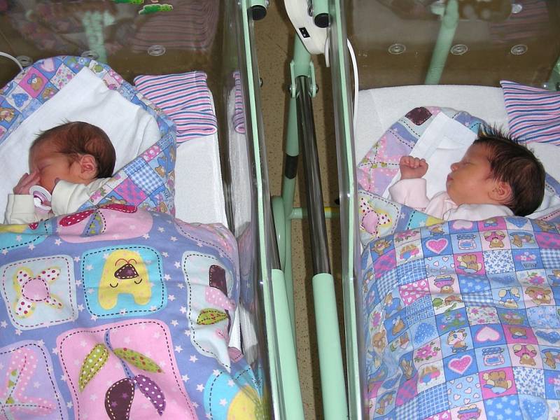 DVOJČÁTKA, holčičky Julie a Jasmína se narodila v měsíci říjnu 2017 v hořovické porodnici. Rodiče si své prvorozené dcerky, Julinku a Jasmínku, odvezli domů do Králova Dvora. 