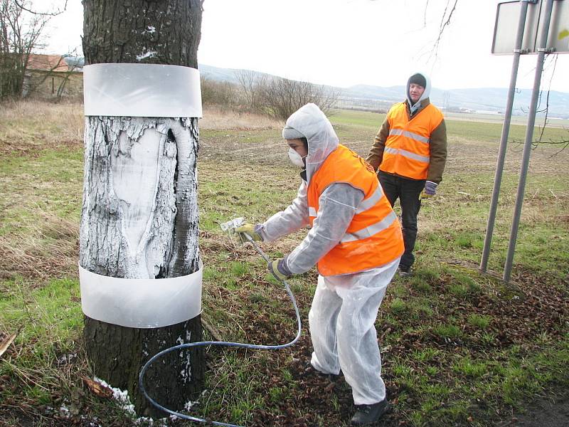 Sdružení Arnika obsadilo stromořadí mezi Skřiplí a Hostomicemi