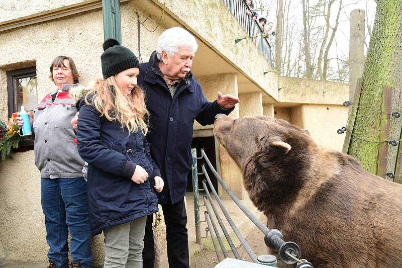 Z oslavy dvacátých narozenin medvědů Kuby a Matěje v areálu medvědária na Městské hoře v Berouně.