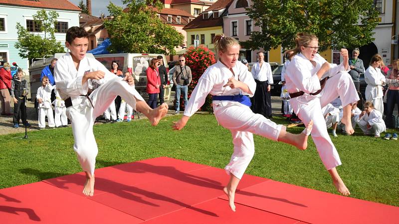 Město Beroun se zaměřilo na prevenci kriminality a sebeobranu dětí i dospělých.  Na Husově náměstí se v úterý konala akce  zaměřená na sebeobranu dětí.  Pro mnohé účastníky akce byla zároveň dobrou inspirací k využití volného času.