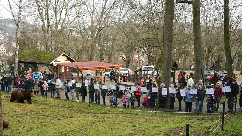 Z oslavy dvacátých narozenin medvědů Kuby a Matěje v areálu medvědária na Městské hoře v Berouně.