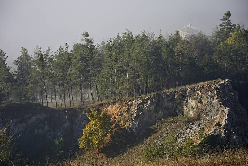 Podzimní mlha v okolí vrchu Zlatý kůň nedaleko Berouna.