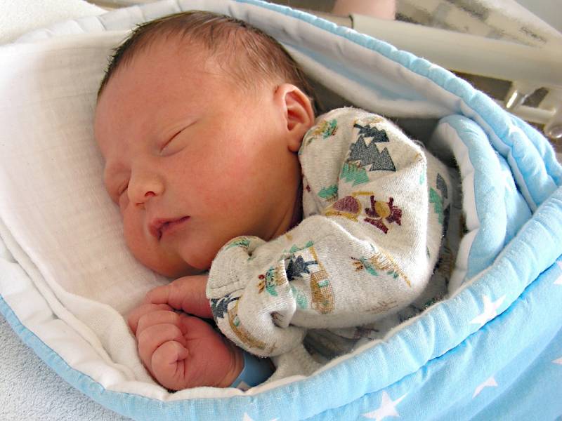 K DCERCE Elince (1,5) si manželé Monika a Petr Hnízdilovi z Cerhovic pořídili druhé dítko, syna Petra. Petřík se narodil 12. srpna 2017, vážil 3,11 kg a měřil rovných 50 cm. 