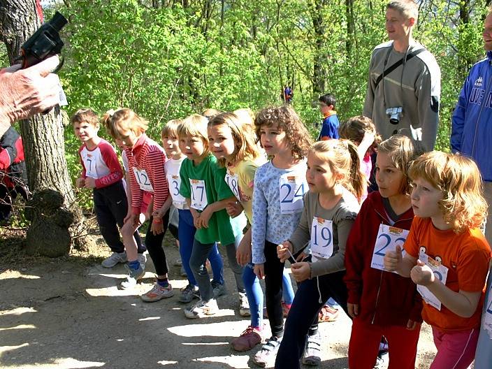 Tradiční běžecké soutěže O pohár města Berouna, která se konala tuto sobotu na Městské hoře, se zúčastnili nadšenci z řad dětí, mládeže i dospělých.