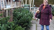 K vánočním svátků patří živý stromek, umělým už odzvonilo. Největší poptávka je po jedlích.