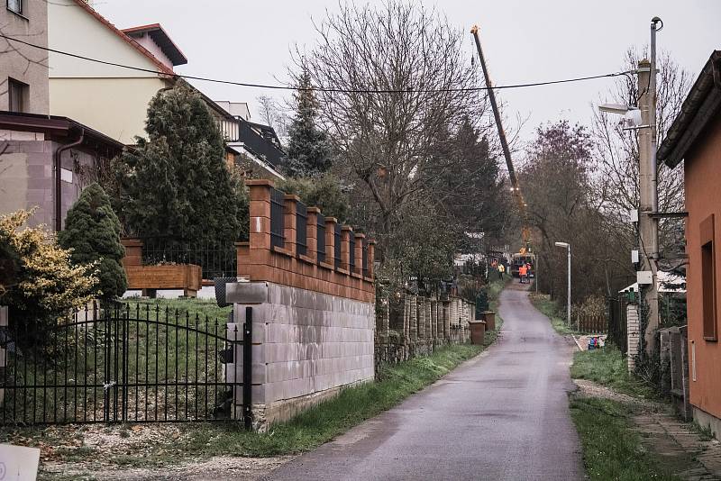 Kácení a transport vánočního smrku pro město Beroun