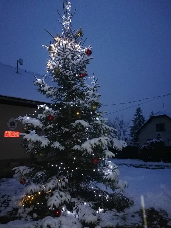 Vánoční strom v obci Vižina.