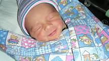 DO BZOVÉ přibyl 16. prosince 2017 nový občánek. Jmenuje se Jakub Jiráček a je prvním dítkem rodičů Kateřiny a Tomáše. Kubíčkovi sestřičky na porodním sále navážily rovné 3 kg a naměřily 48 cm. 