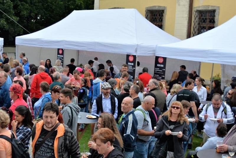 Oblíbený Letní festival plný kulinářských specialit  a doplněný příjemnou hudbou se opět po roce uskutečnil v zahradě Kladenského zámku. Pochoutky i mediální hvězdy přilákali do areálu na setkání opět mnoho návštěvníků z Kladna i okolí.