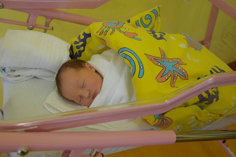 Eliška Švandová se narodila 22. června 2021 v 8.48 v benešovské porodnici. Po narození vážila 3280 g. S maminkou Lenkou Stýblovou a tatínkem Petrem Švandou bude bydlet v Týnci nad Labem.