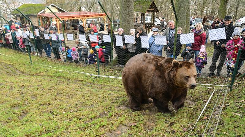 Z oslavy dvacátých narozenin medvědů Kuby a Matěje v areálu medvědária na Městské hoře v Berouně.