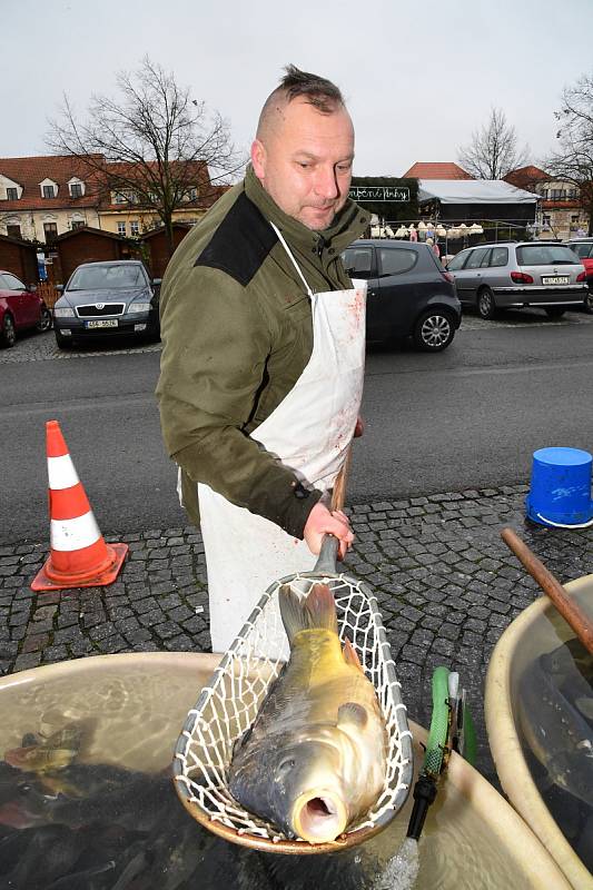 Z vánočního prodeje ryb na Husově náměstí v Berouně.