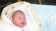 Mamince Drahomíře Skřivanové a tatínkovi Jaroslavovi Bendžuchovi se 15. 12. narodila prvorozená dcerka Kristýnka. Po příchodu na svět vážila holčička 3,30 kg a měřila 48 cm. Společně budou žít doma v v Jincích.
