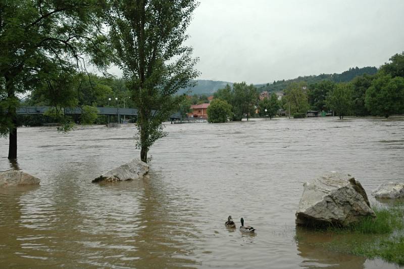 Berounka v podnělí večer chvíli před kulminací