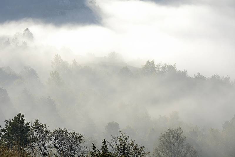 Podzimní mlha v okolí vrchu Zlatý kůň nedaleko Berouna.