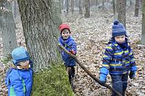 V lesní školce Studánka v Trubské je pro děti třídou převážně příroda.