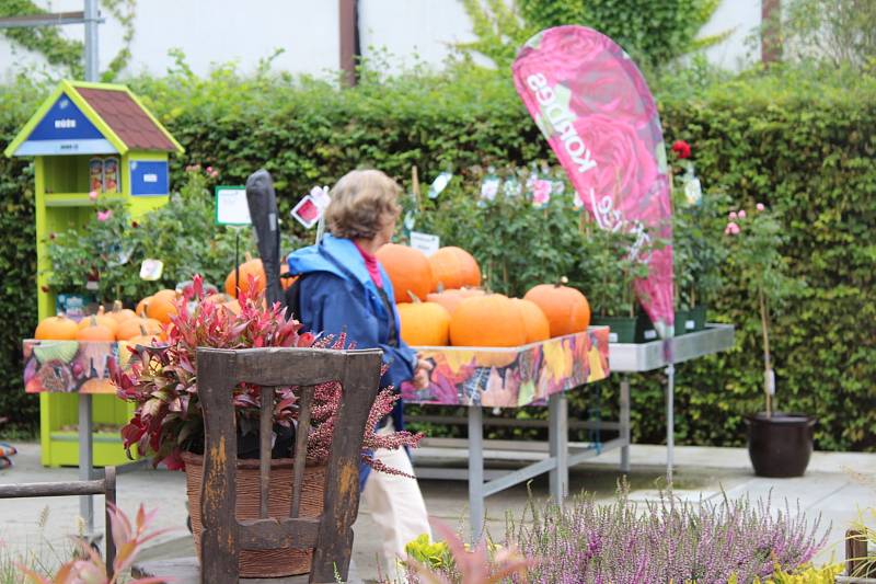 Podzimní aranžmá z vřesu, macešek a mnoha dalších rostlin si mohly děti vyrobit o víkendu v zahradním centru v Králově Dvoře. Akce nazvaná Podzimní tvoření přilákala desítky lidí.