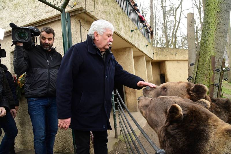 Z oslavy dvacátých narozenin medvědů Kuby a Matěje v areálu medvědária na Městské hoře v Berouně.