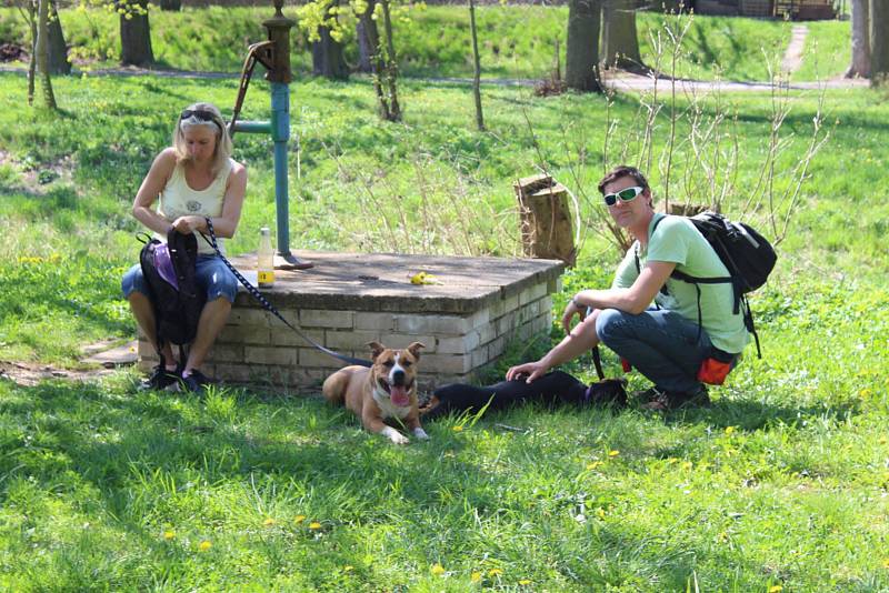 Střela Žebrák uspořádala další ročník tradičního pochodu Žebrácký vandr.