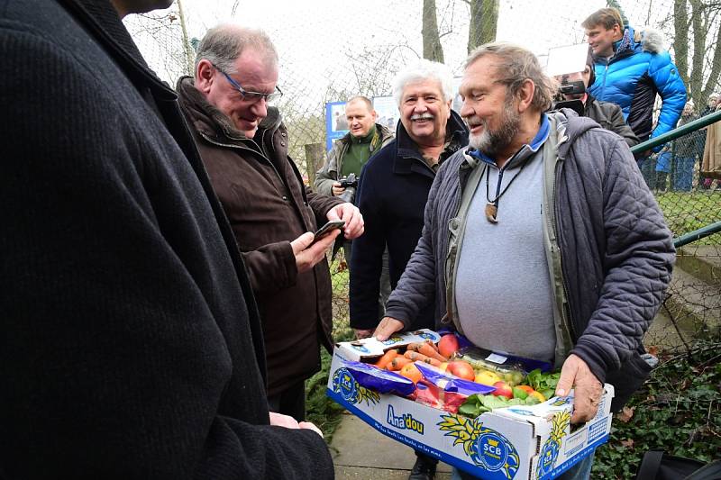 Z oslavy dvacátých narozenin medvědů Kuby a Matěje v areálu medvědária na Městské hoře v Berouně.