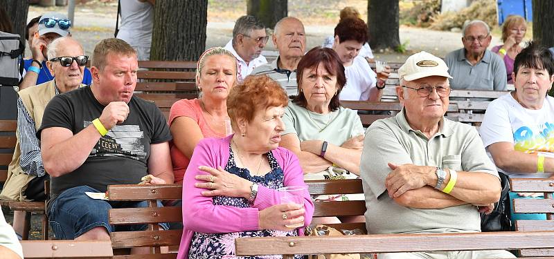 Tradiční, v pořadí již 45. festivalové setkání heligonkářů, proběhlo v sobotu 13. srpna v areálu Společenského domu Hořovice.