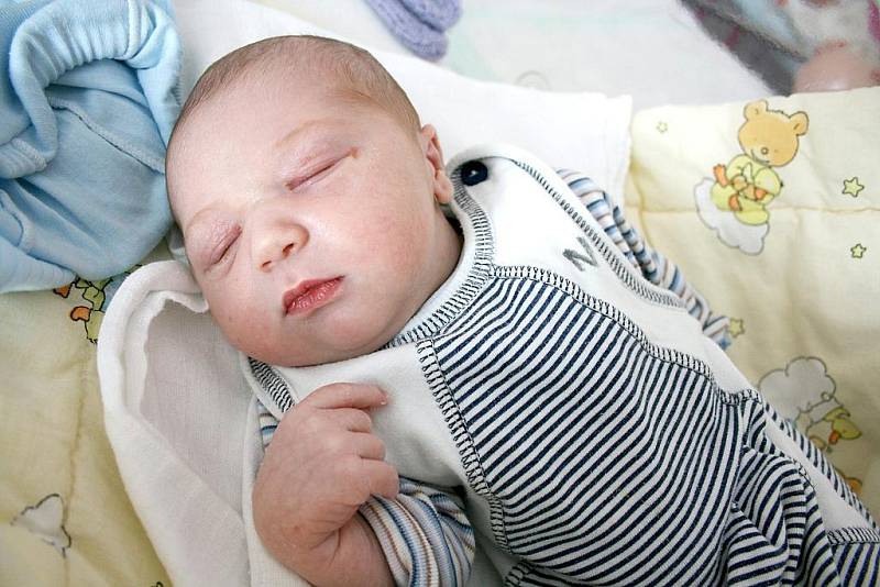 Od neděle 25. dubna se raduje čtyřletá Michaela z Malých Přílep, které pořídili rodiče Romana a Marian Henčovi brášku Alexandra. Po narození Alexandrovi navážily sestřičky na porodním sále 3,18 kg a naměřily 51 cm. 
