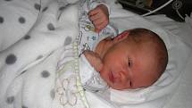 JAKUB se narodil ve čtvrtek 8. února 2018 v hořovické porodnici U Sluneční brány. Kubíčka bude dětským světem provázet sestřička Nela. 