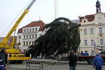 Vánoční strom instalovali na náměstí více  než dvě hodiny