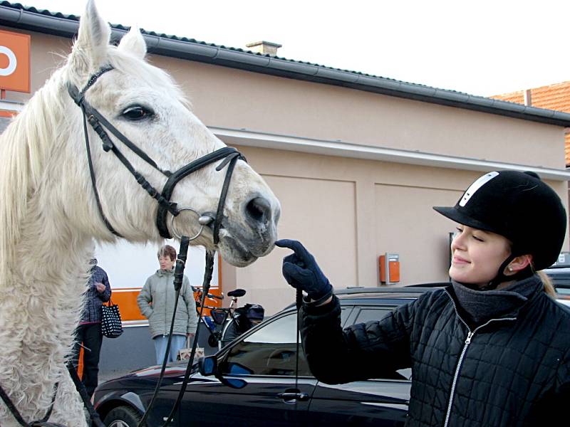 STUDENTKA dobříšského gymnázia Lea Hlaváčková z Velkého Chlumce se i na letošní ročník Horymírovy sváteční jízdy vydala s kobylkou Jessie.