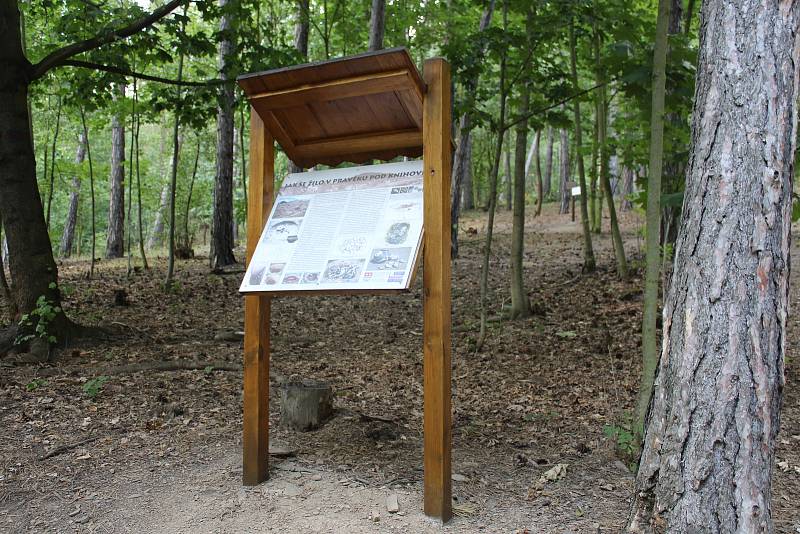 Lesopark Knihov ve Zdicích se stal oblíbeným místem pro pasivní i aktivní odpočinek.