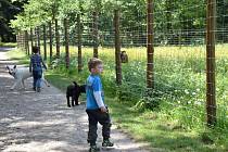 Bývalý výběh pro muflony v lesoparku Litavka se změní na psí park.