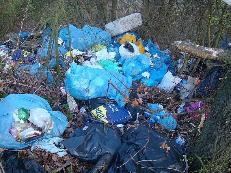 Neznámý pachatel vyhodil na černou skládku uhynulá zvířata