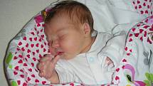 Třetí dcera se narodila 21. listopadu 2018 manželům Martině a Honzovi Najsrovým z Nového Jáchymova a dostala jméno Veronika. Dětským světem ji budou provázet sestřičky Lucinka (6 let) a Terezka (3 roky).