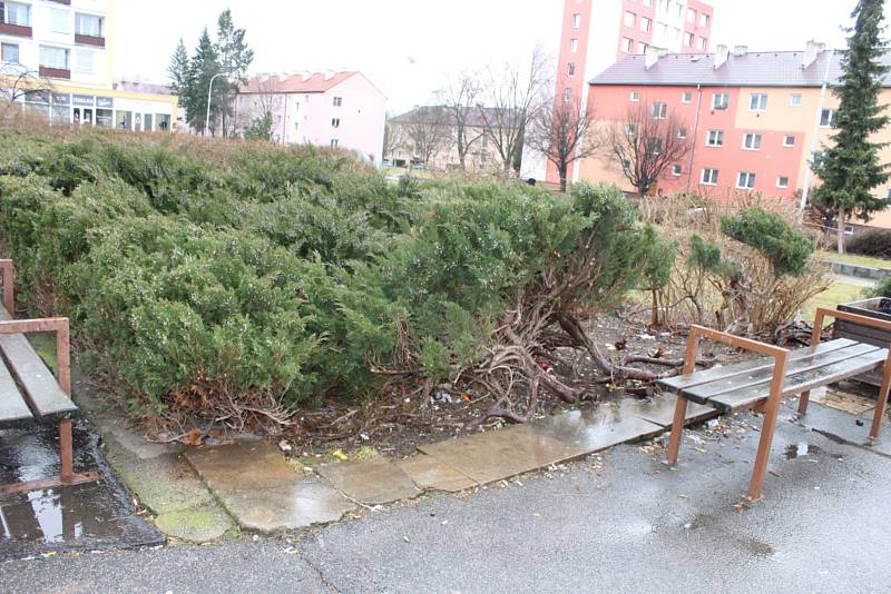 Na úpravu prostranství před Hvězdou už má město zpracovanou studii.