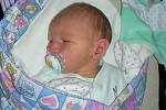Do Komárova přibyl 9. prosince 2018 nový občánek. Jmenuje se Vojtěch Hejbal a je prvním dítkem manželů Michaely a Lukáše. Vojtíškovy porodní míry byly 47 cm a 3,12 kg.
