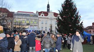 Beroun hledá vánoční strom na Husovo náměstí, letos ozdobí čtyři smrky -  Berounský deník