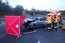 Na třináctém kilometru D5 u obce Vráž  ve směru na Plzeň došlo k tragické dopravní nehodě. Osobní vozidlo Škoda Octavia zde usmrtilo koně, který utekl z ohrady.