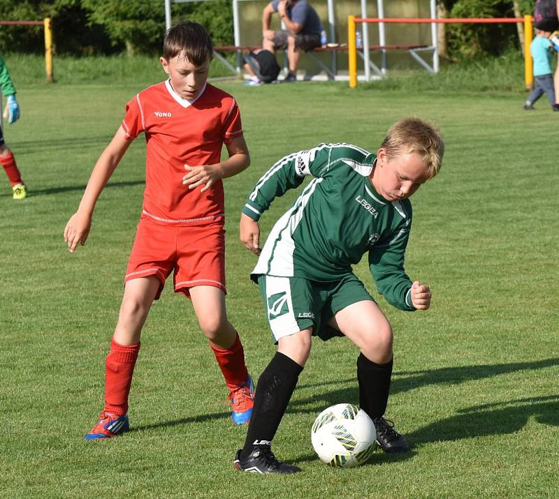 OP mladší přípravky: Dražejov - Katovice 13:3.