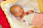Martina Vindišová z Žichovic. Martinka se narodila 8.2.2019 v 8:29 hodin a při narození vážila 2 200 gramů. Malou Martinku již doma netrpělivě čekala sestřička Kačenka (4,5)