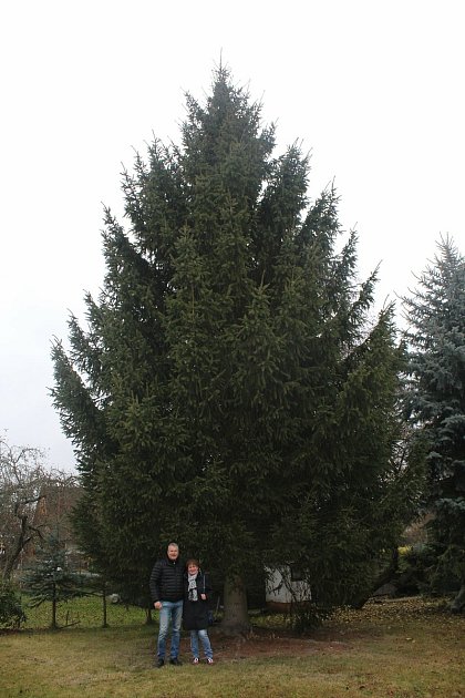 Manželé Jaroslav a Miroslava Pýchovi z Blatné darovali městu Strakonice vánoční strom.