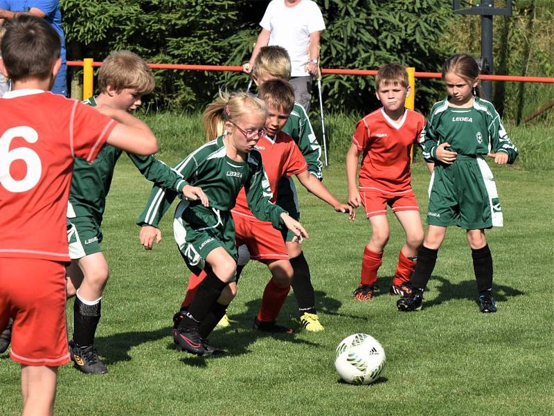 OP mladší přípravky: Dražejov - Katovice 13:3.