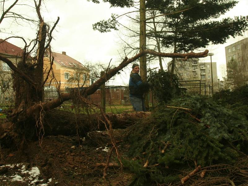 Úklid stromů v ulici Hradeckého. 