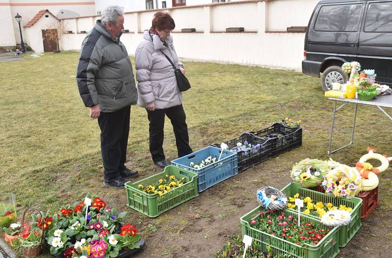 Od soboty 13. května začínají v Bavorově  sazenicové farmářské trhy v hospodářské budově Panského domu.