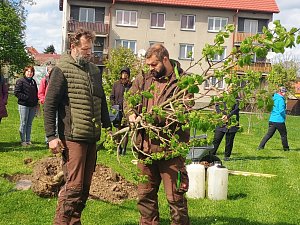 V Drahonicích se konal seminář pro zástupce malých obcí z Jihočeského kraje. Učili se, jak správně vysazovat stromy a pečovat o dřeviny