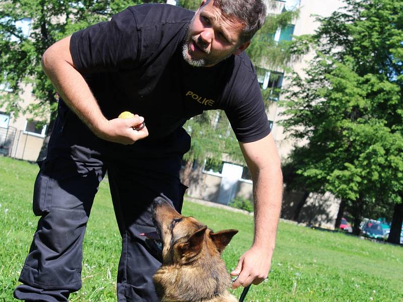 Prvňáčci ze ZŠ Dukelská viděli ve čtvrtek dopoledne výcvik služebních policejních psů. Na snímku psovod Jiří Pixa a Michal Hrachovec předvádějí, co umí cvičený policejní pes - německý ovčák Xell.